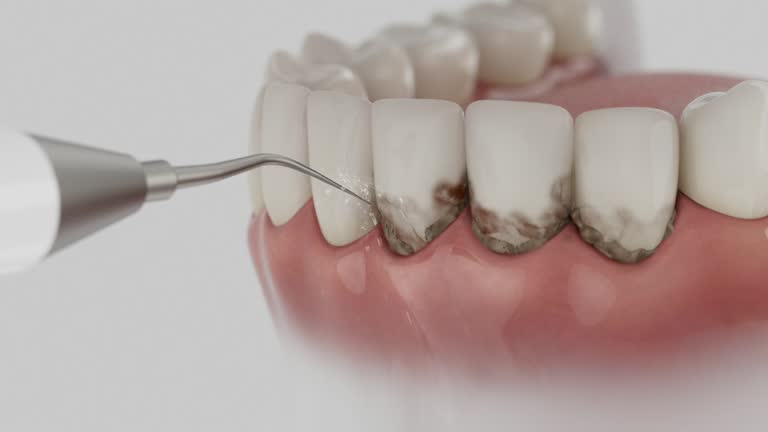Reliable Dental contractor in Leisure Village West, NJ by Dentist Open Now